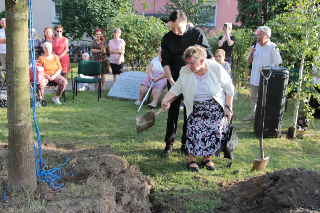 Święto mieszkańców bloku przy ul. Reja 7 w Pleszewie. Posadzono dąb półwiecza [ZDJĘCIA, WIDEO] - Zdjęcie główne