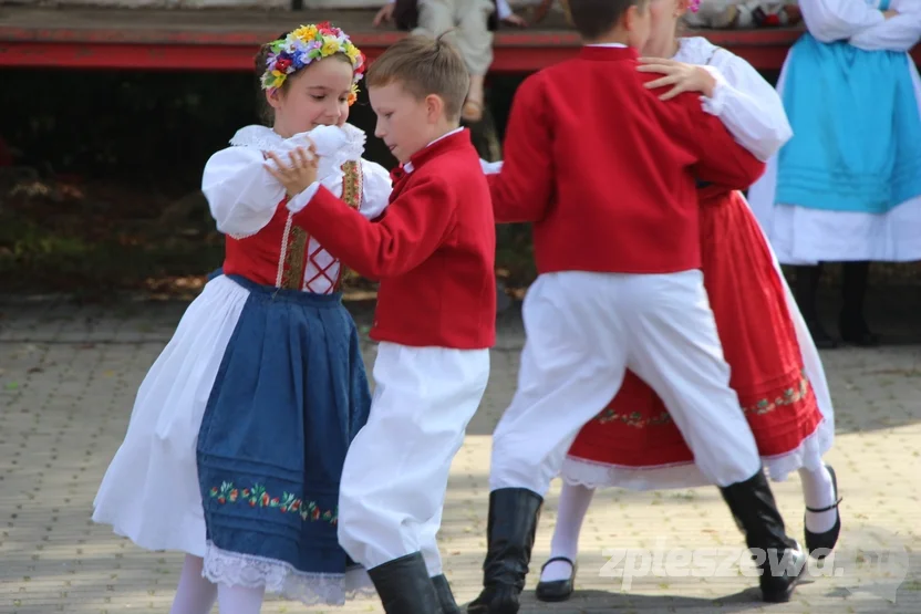 Kolorowe dożynki w Lenartowicach