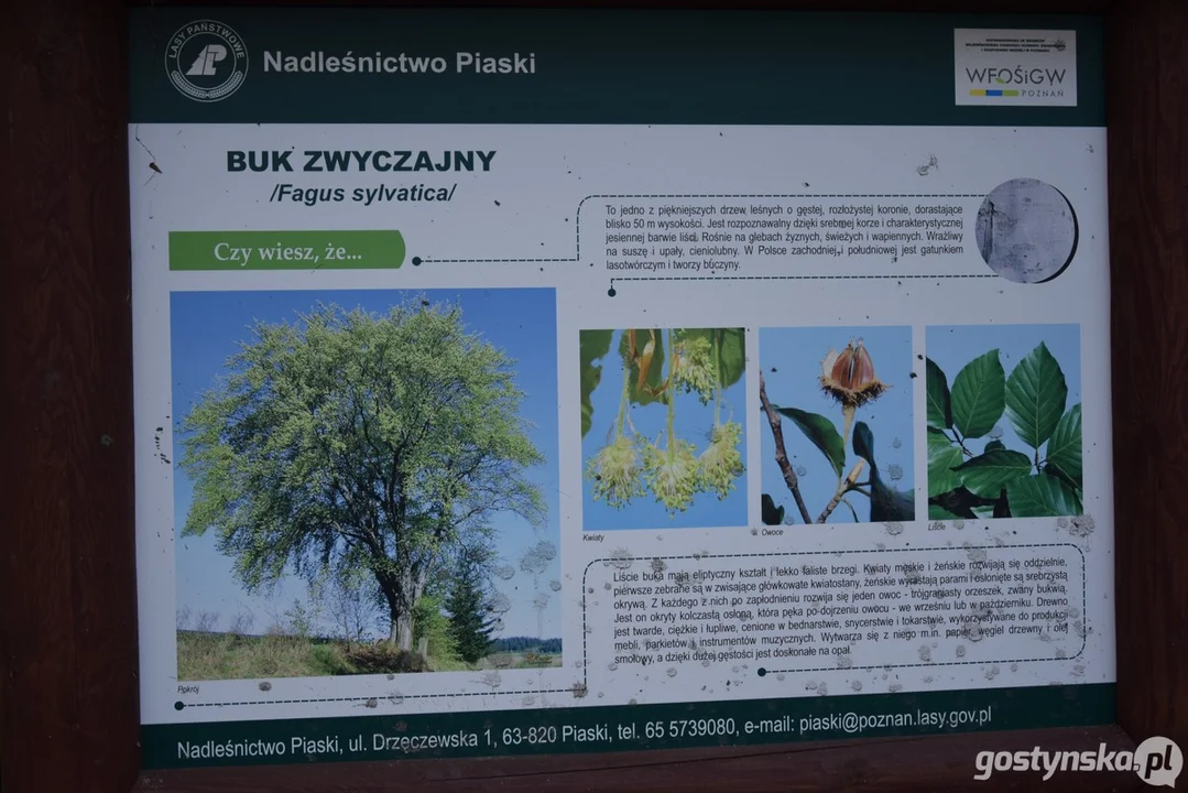 Bieg Jesieni 2025 w Karcu