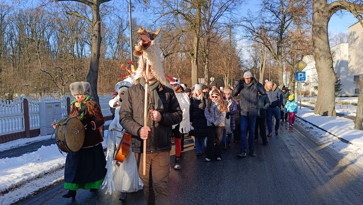 Kolędowanie w Gołuchowie. Świąteczny korowód przeszedł ulicami miejscowości - Zdjęcie główne