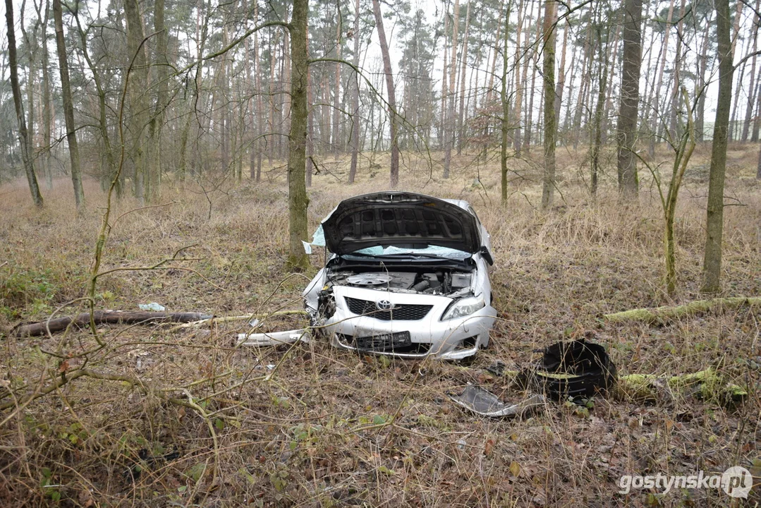 Dachowanie w lesie w Starym Gostyniu. Kierująca toyotą wypadła na zakręcie i uderzyła w drzewo - Zdjęcie główne