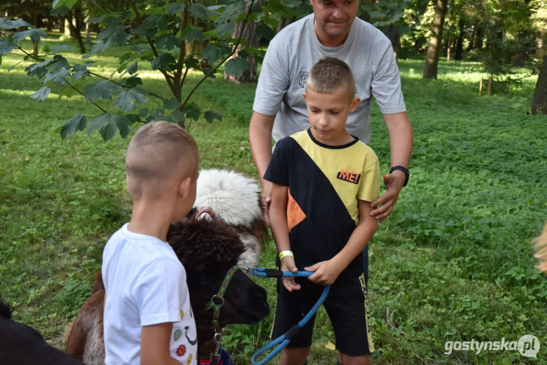 Rodzinny piknik w Pogorzeli - z alpakami i kamykami