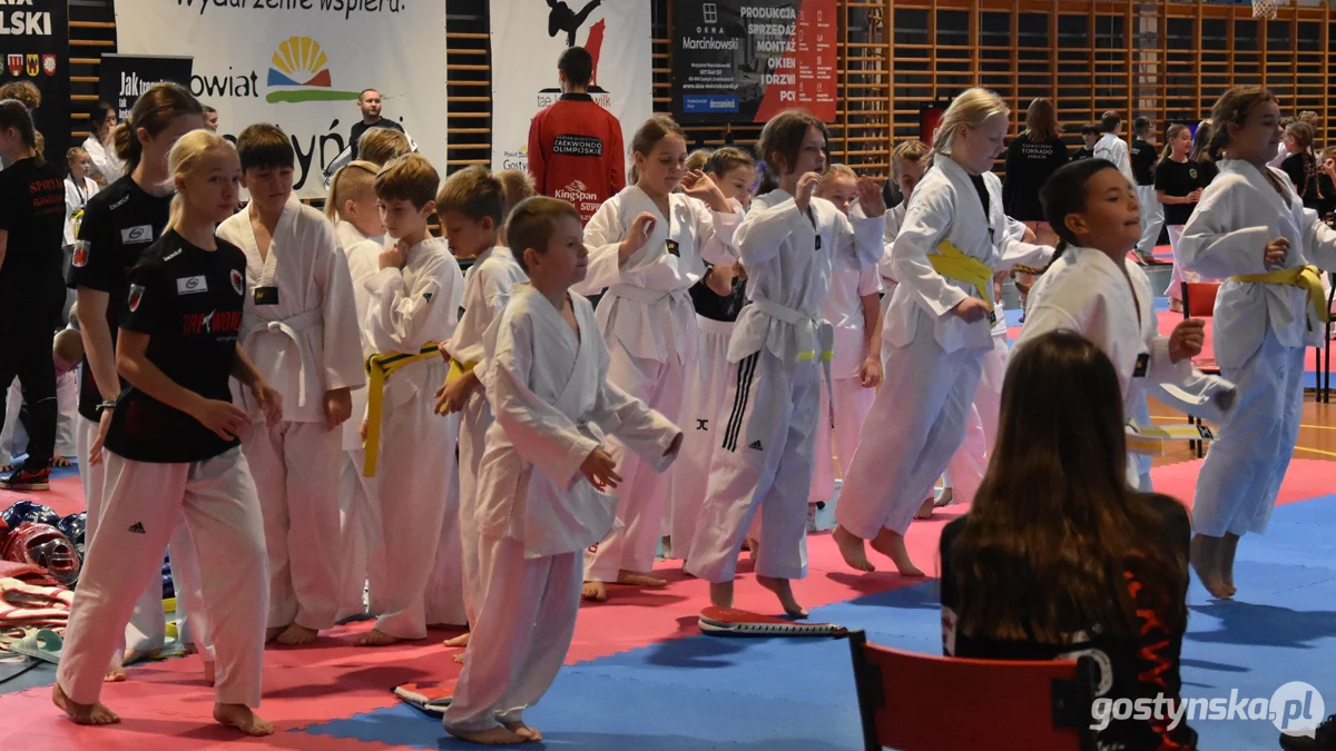 Grand Prix Wielkopolski w Taekwondo Olimpijskim