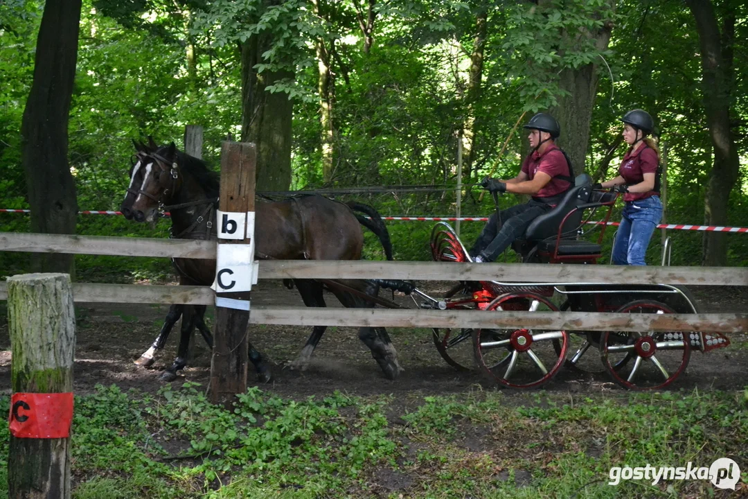 Rokosowo Horse Show 20224 - Konie i Powozy na Zamku Wielkopolskim w Rokosowie