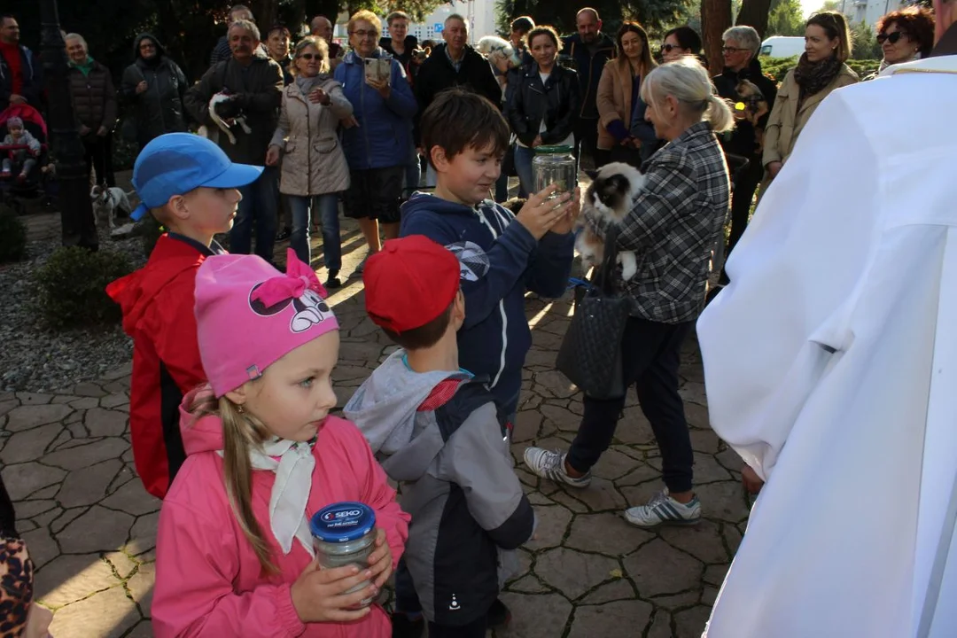 Franciszkanie w Jarocinie. Odpust św. Franciszka z Asyżu