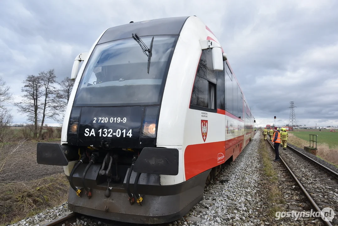 Zderzenie szynobusu relacji Ostrów Wlkp. - Leszno z drzewem