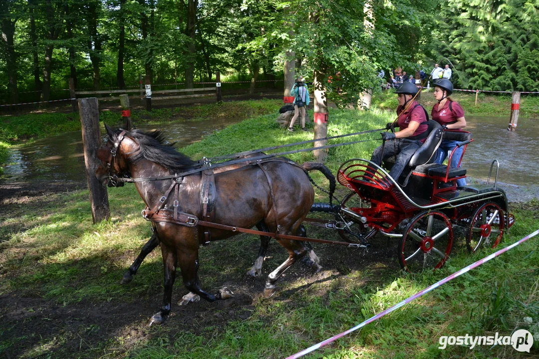 Rokosowo Horse Show 20224 - Konie i Powozy na Zamku Wielkopolskim w Rokosowie