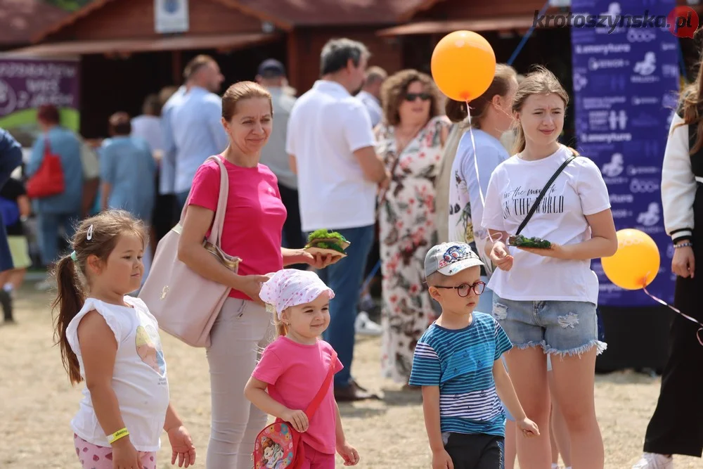 Krotoszyn. Piknik rodzinny 800+. Atrakcje dla dzieci i dorosłych