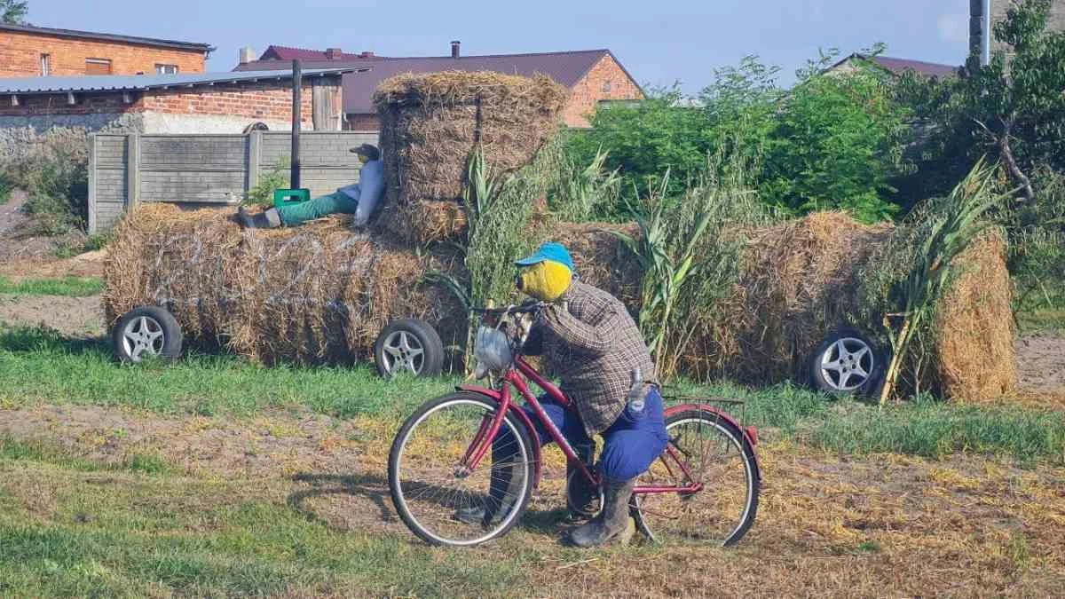 Dożynki gminne Nowe Miasto