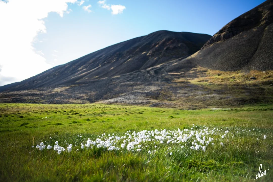 Wyprawa pleszewian na Spitsbergen