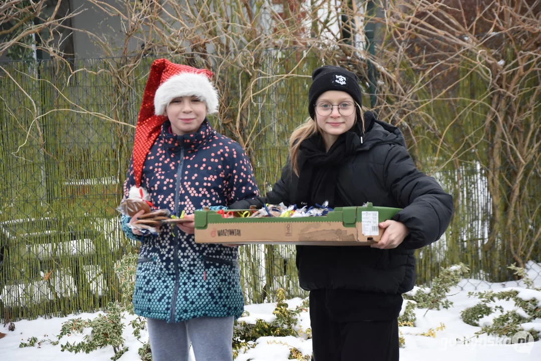 Mikołajkowy Charytatywny Marsz Nordic Walking „Idziemy dla Julki”