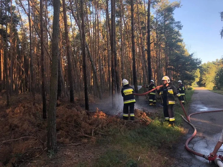 Pożar w miejscowości Kolonia Obory