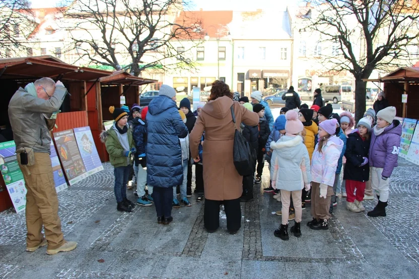 Ekomiasteczko w Pleszewie