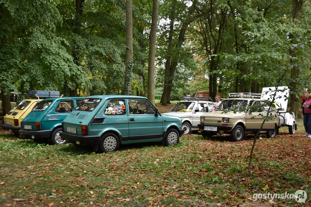 Zlot samochodów retro w Zamku Wielkopolskim w Rokosowie