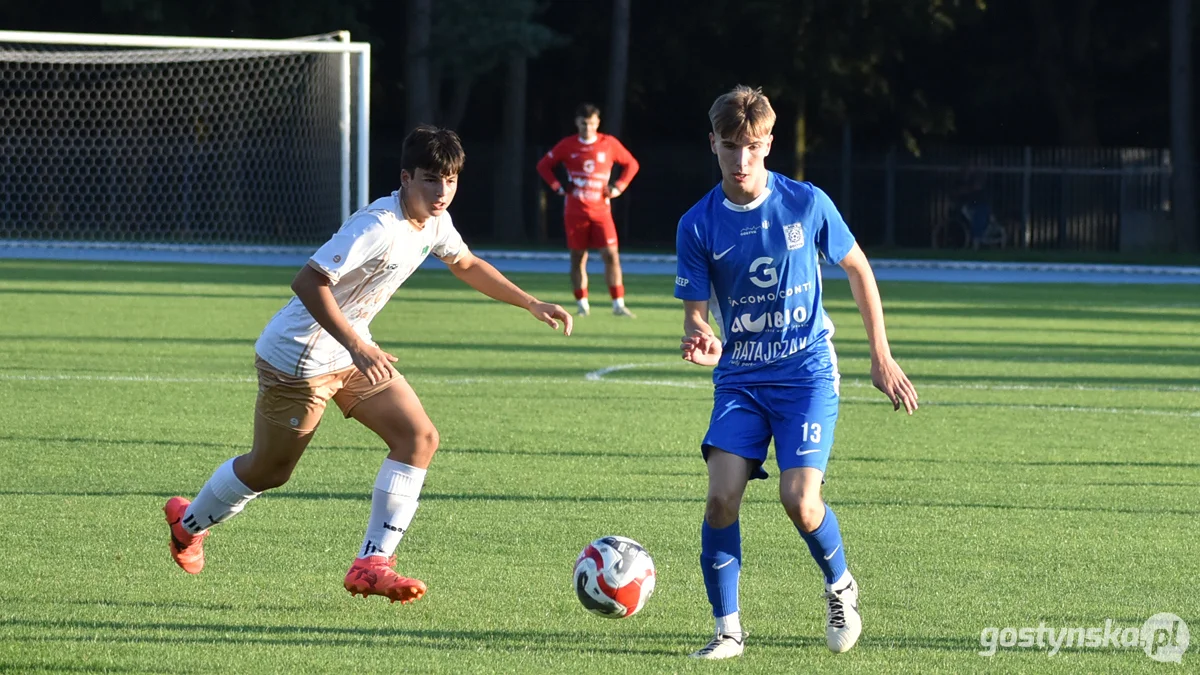 Kania Gostyń - Wisła Borek Wielkopolski 3 : 0