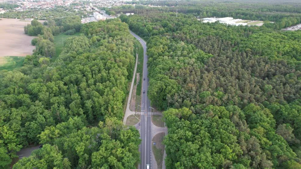 Kolejne potrącenie na przejściu dla pieszych przy ul. Poznańskiej w Jarocinie