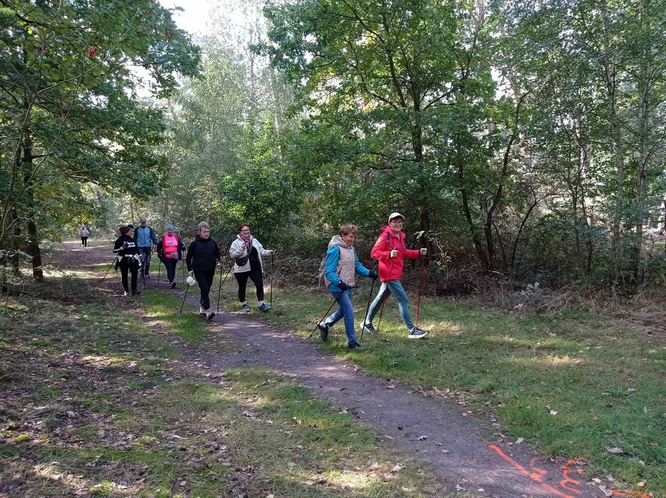 V Marsz po zdrowia z nordic walking w ramach Leśna Triada 2025 w Piaskach