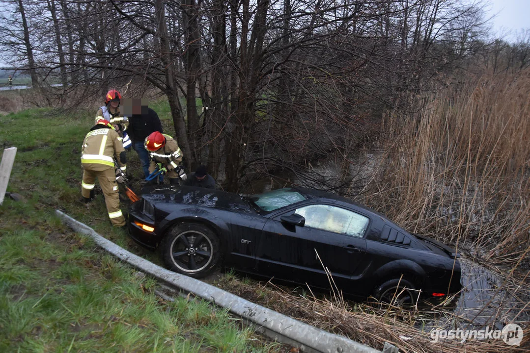 Mustang wpadł do stawu. Straż pożarna z Gostynia w akcji