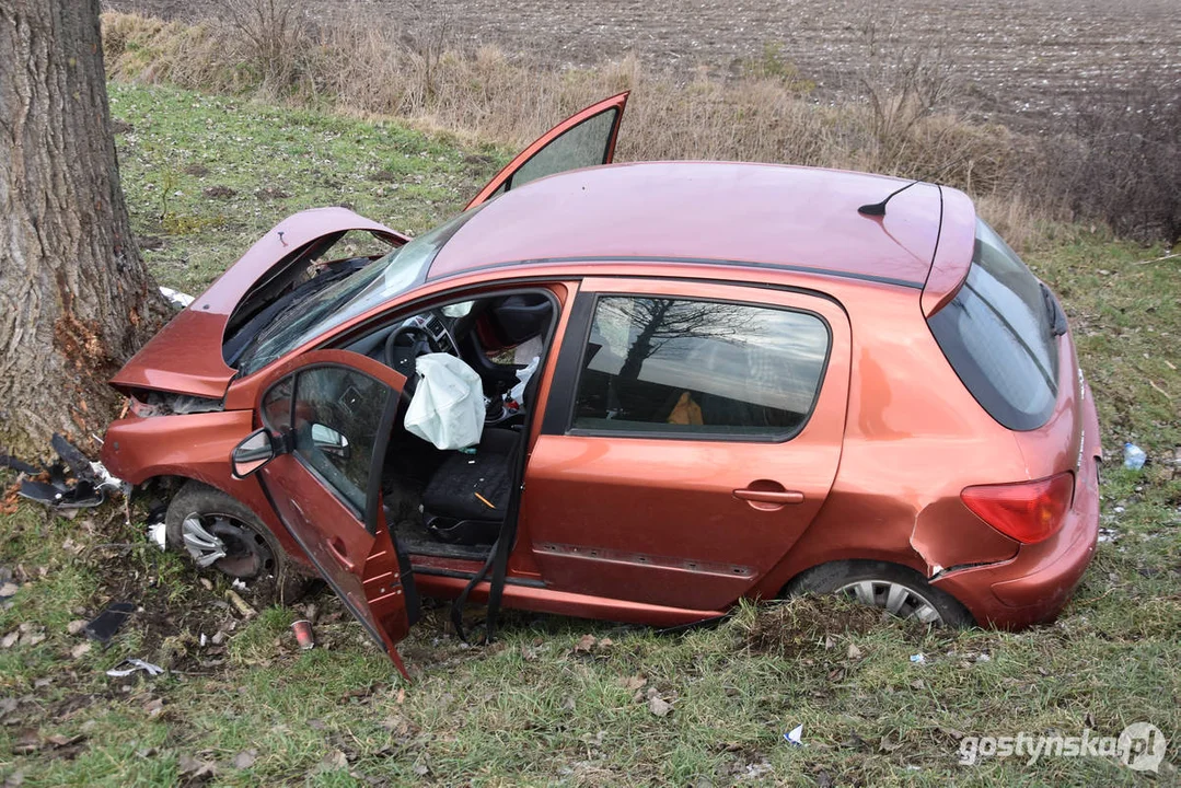 Wypadek samochodowy na drodze Strzelce Wielkie - Lipia (droga Piaski - Pogorzela)