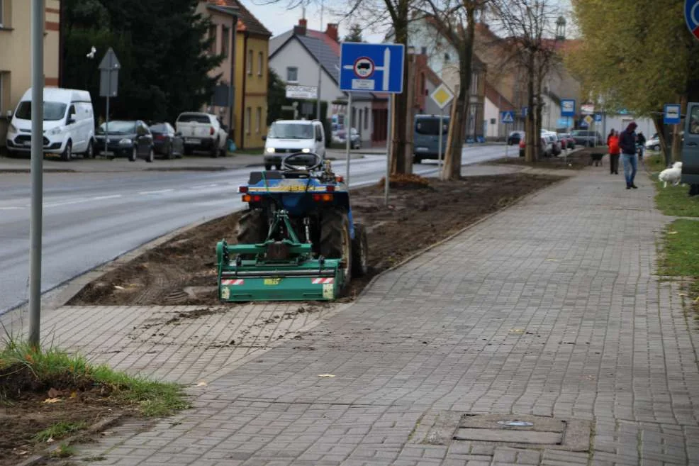 Nasadzenia na ul. św. Ducha w Jarocinie