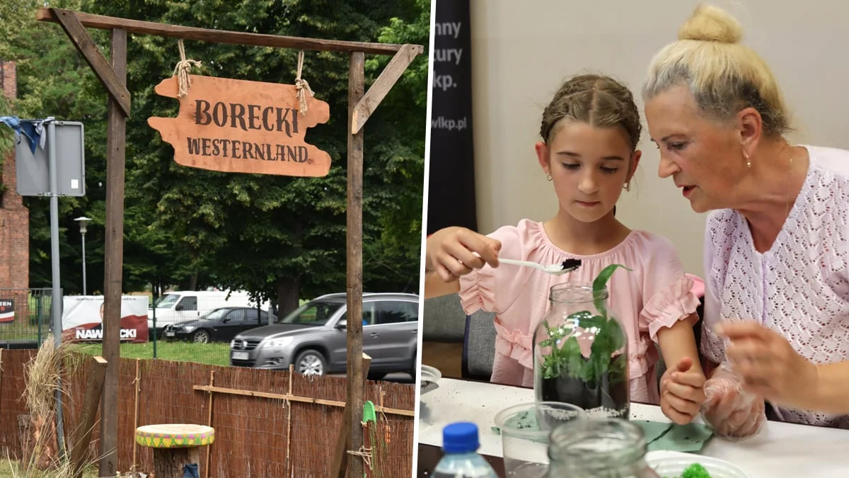 Wakacje w Westerlandzie w Borku Wlkp.