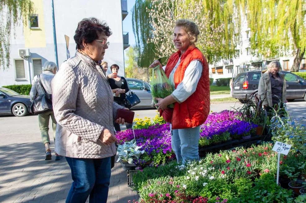 miłośnicy roślin mogli wymienić się doświadczeniami i radami nie tylko między sobą, ale ze sprzedającymi.