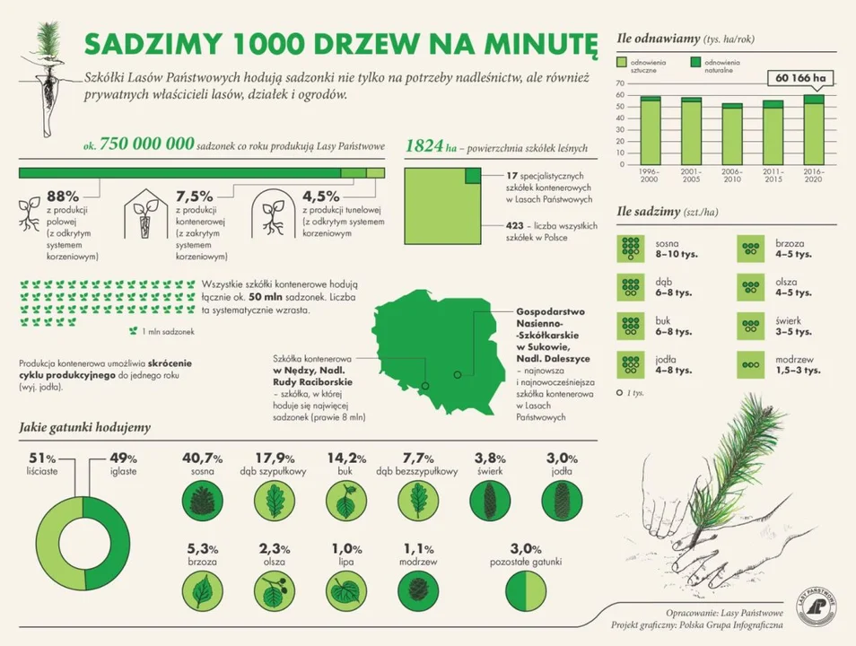 Nadleśnictwo Jarocin będzie rozdawało sadzonki