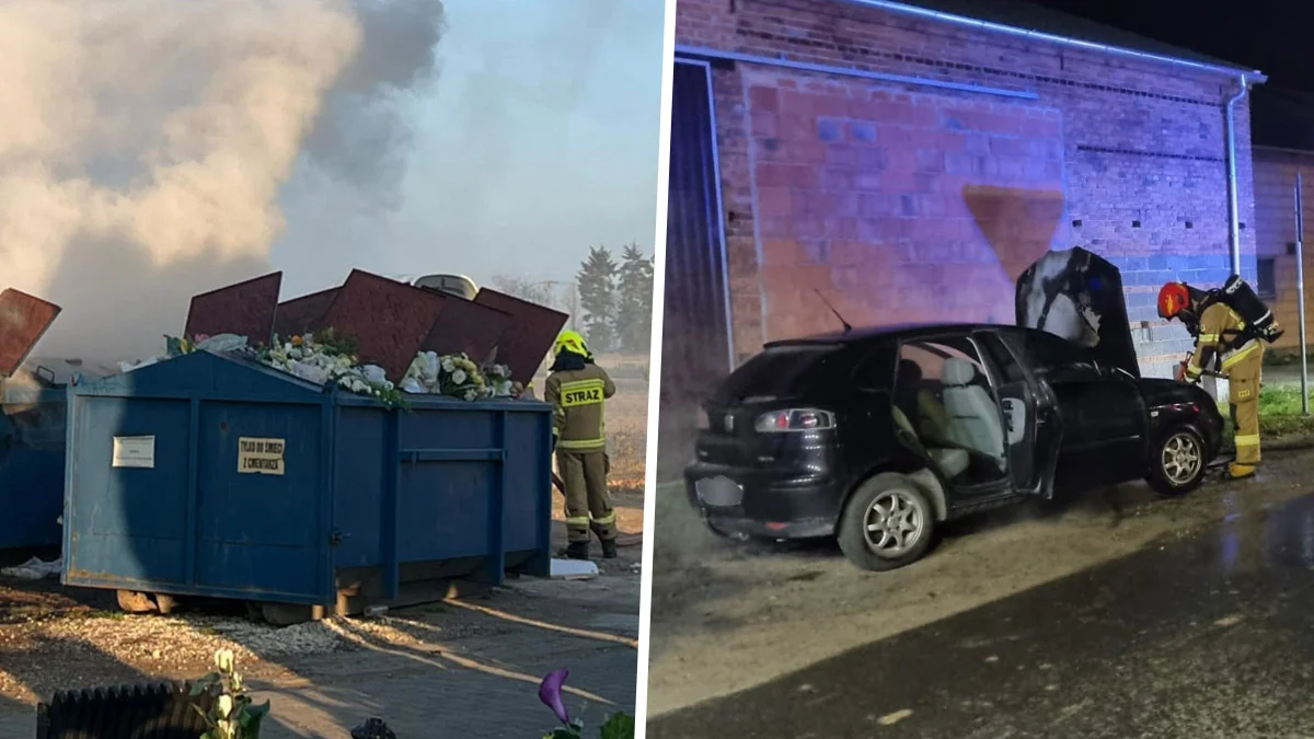 Strażacy w akcji. Pożar na krobskim cmentarzu i płonące auto w Domachowie