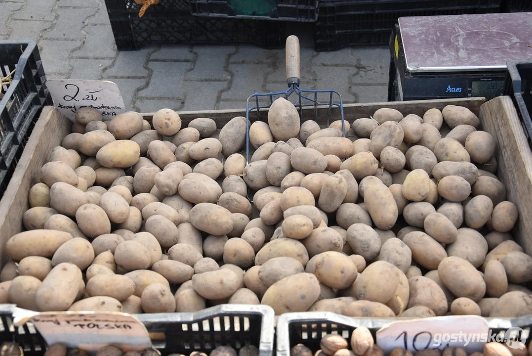 Ceny warzyw i owoców na targowisku w Gostyniu w marcu 2023 roku