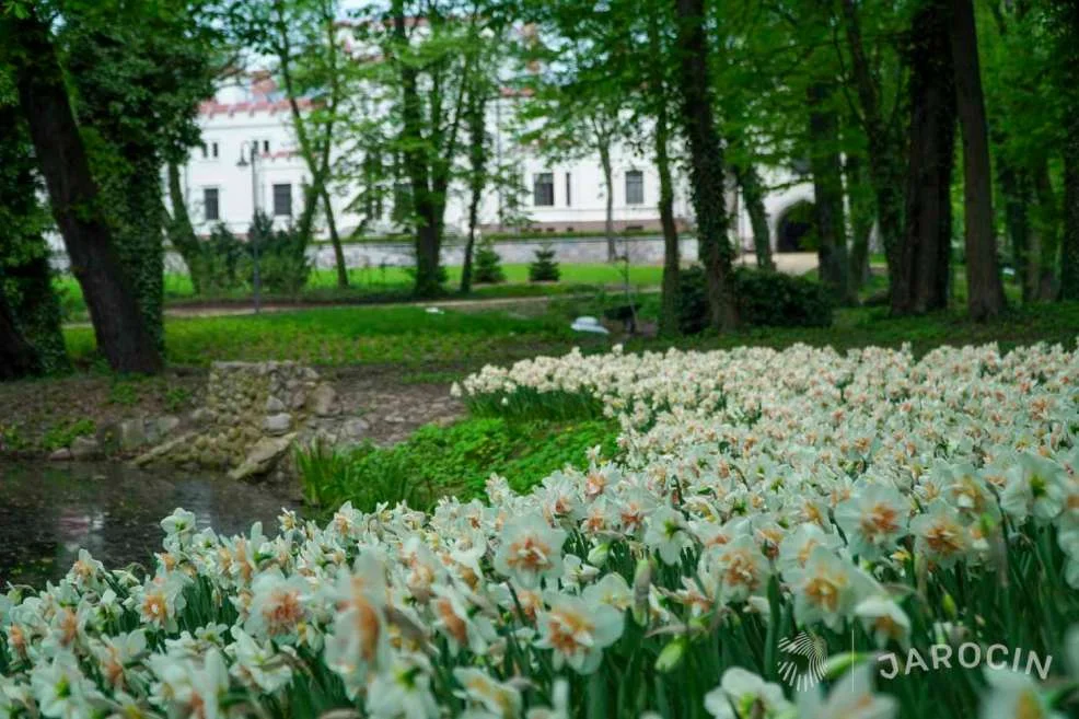 Nagroda Towarzystwa Urbanistów Polskich dla gminy Jarocin