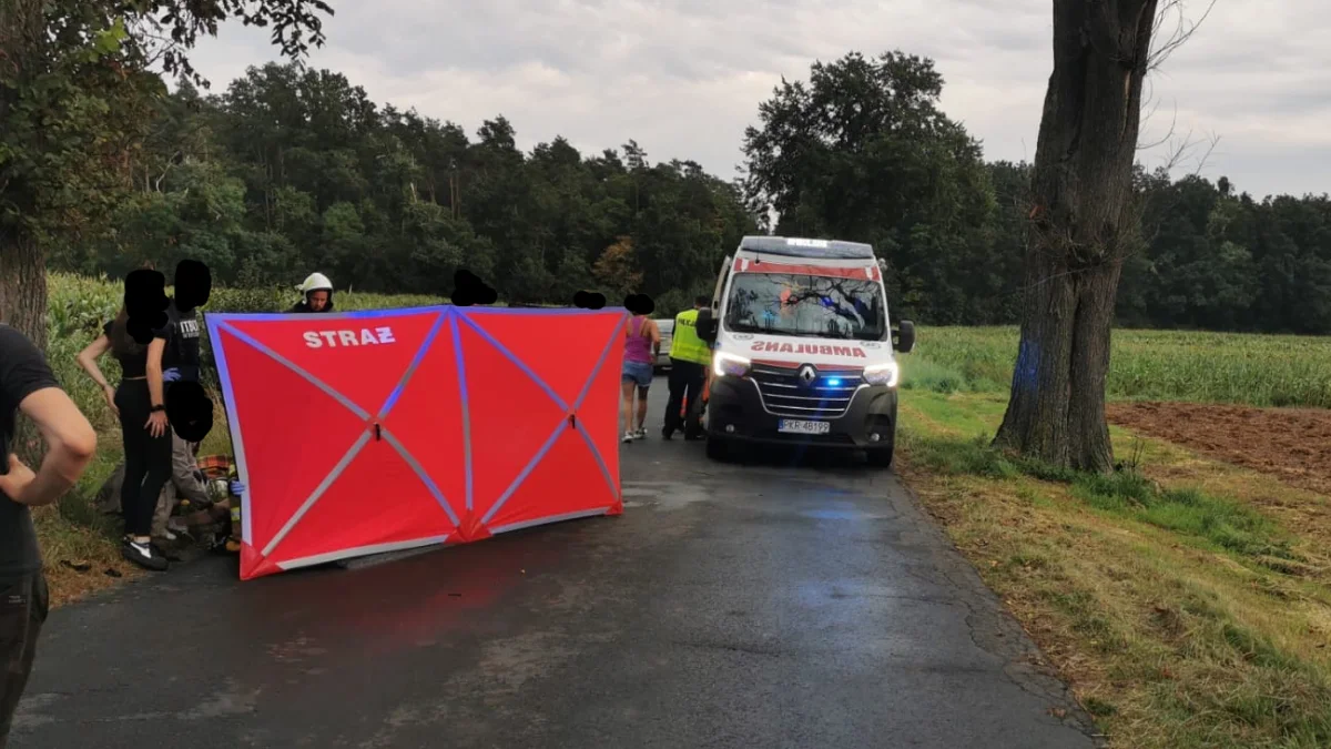 Zderzenie samochodu osobowego z drzewem na trasie Skoraszewice - Wilkonice