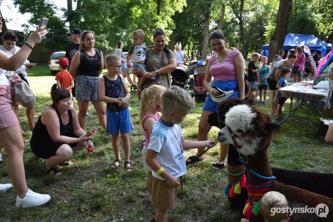 Rodzinny piknik w Pogorzeli - z alpakami i kamykami