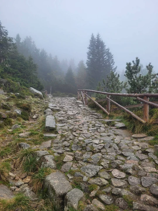 Nocna wyprawa na Śnieżkę - mieszkańcy Gostynia, Borku i okolic z Przyjacielską Grupą Biegową Leśne Dziki