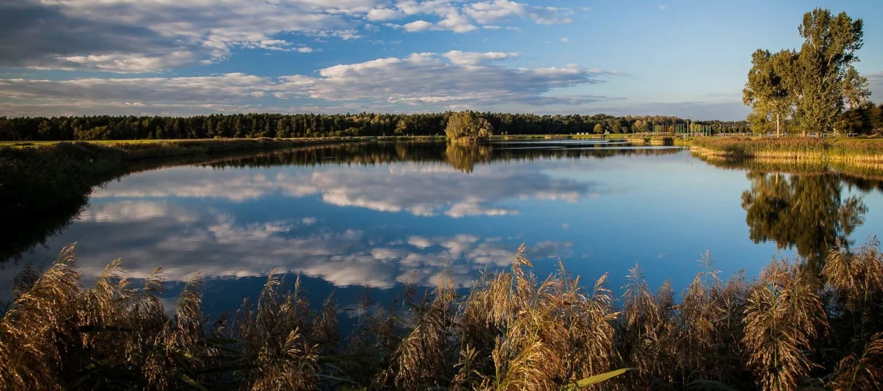 "Balaton" w Miejskiej Górce