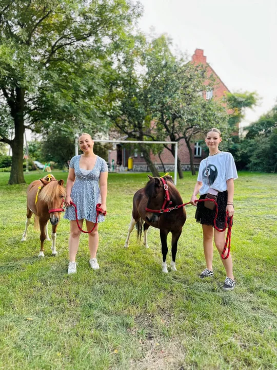 Dożynki we Wziąchowie (gm. Pogorzela)