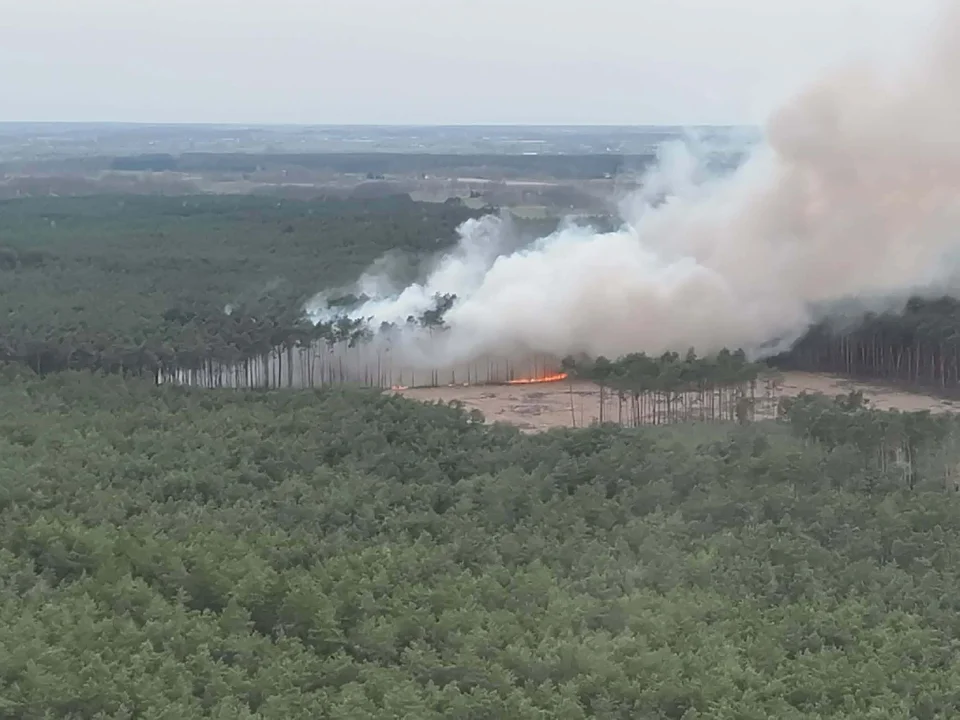 Palą się lasy w powiecie pleszewskim