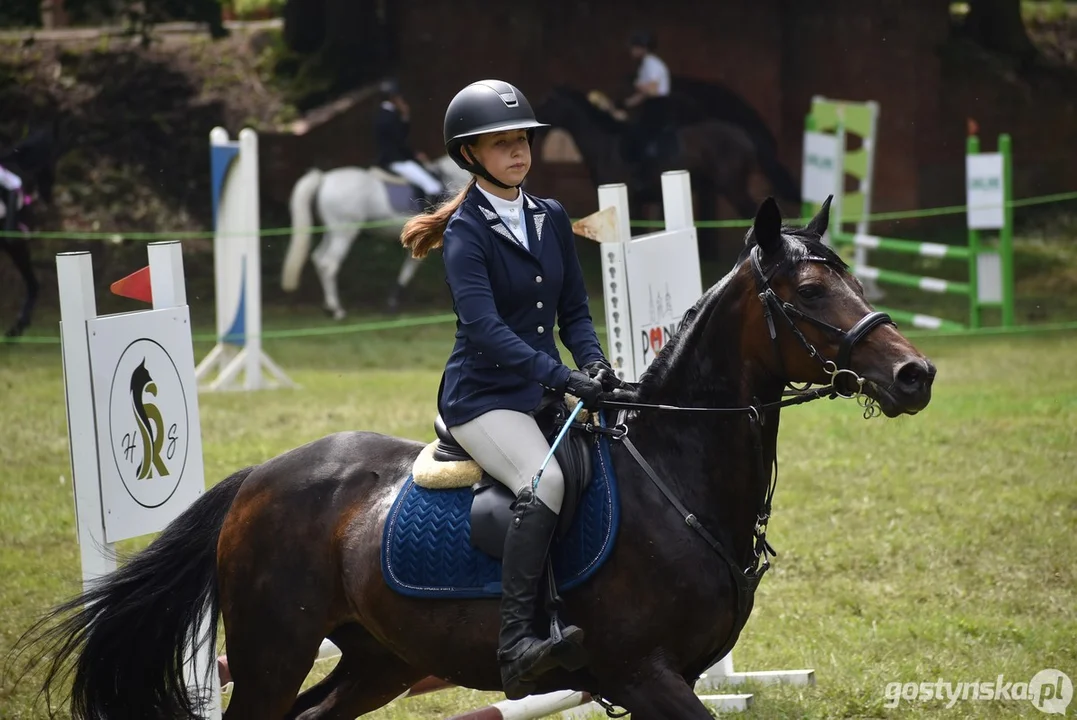 Rokosowo Horse Show - dzień drugi