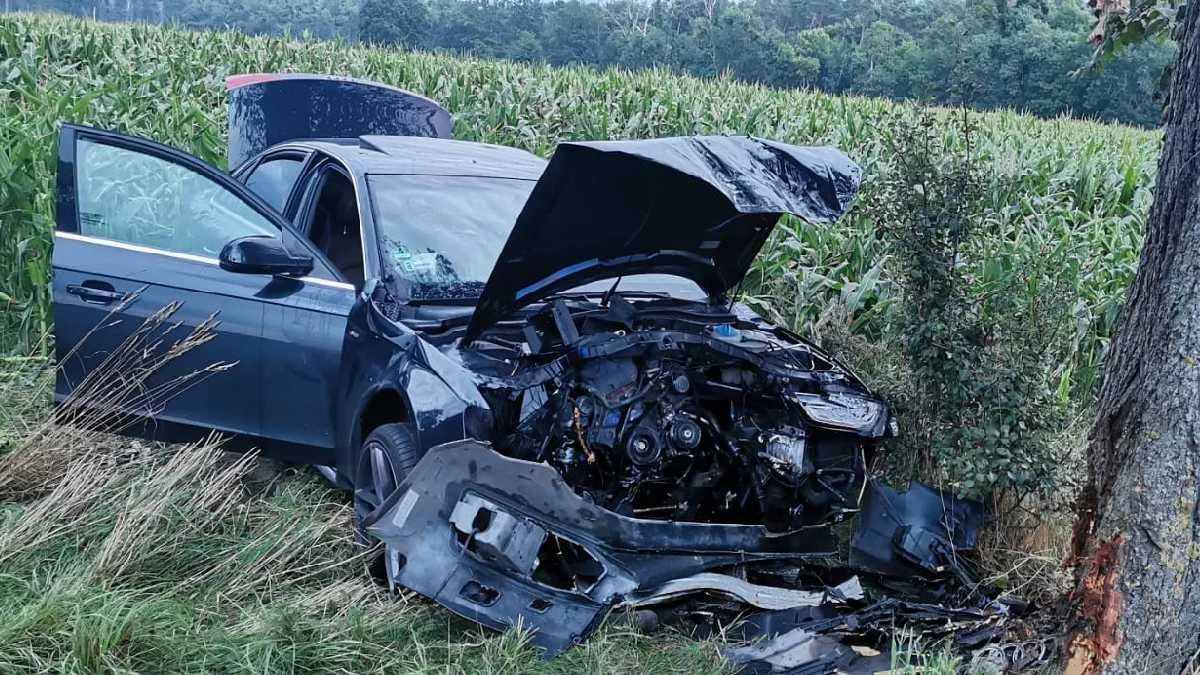 Zderzenie samochodu osobowego z drzewem na trasie Skoraszewice - Wilkonice