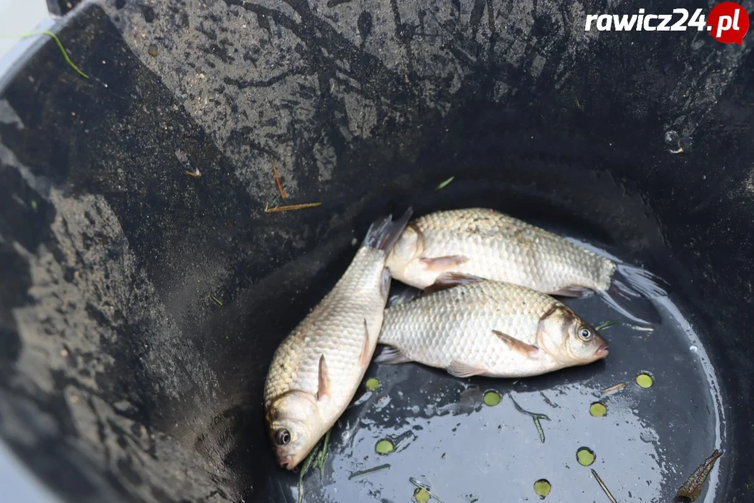 Uczniowie szkoły w Sarnowie łowili ryby