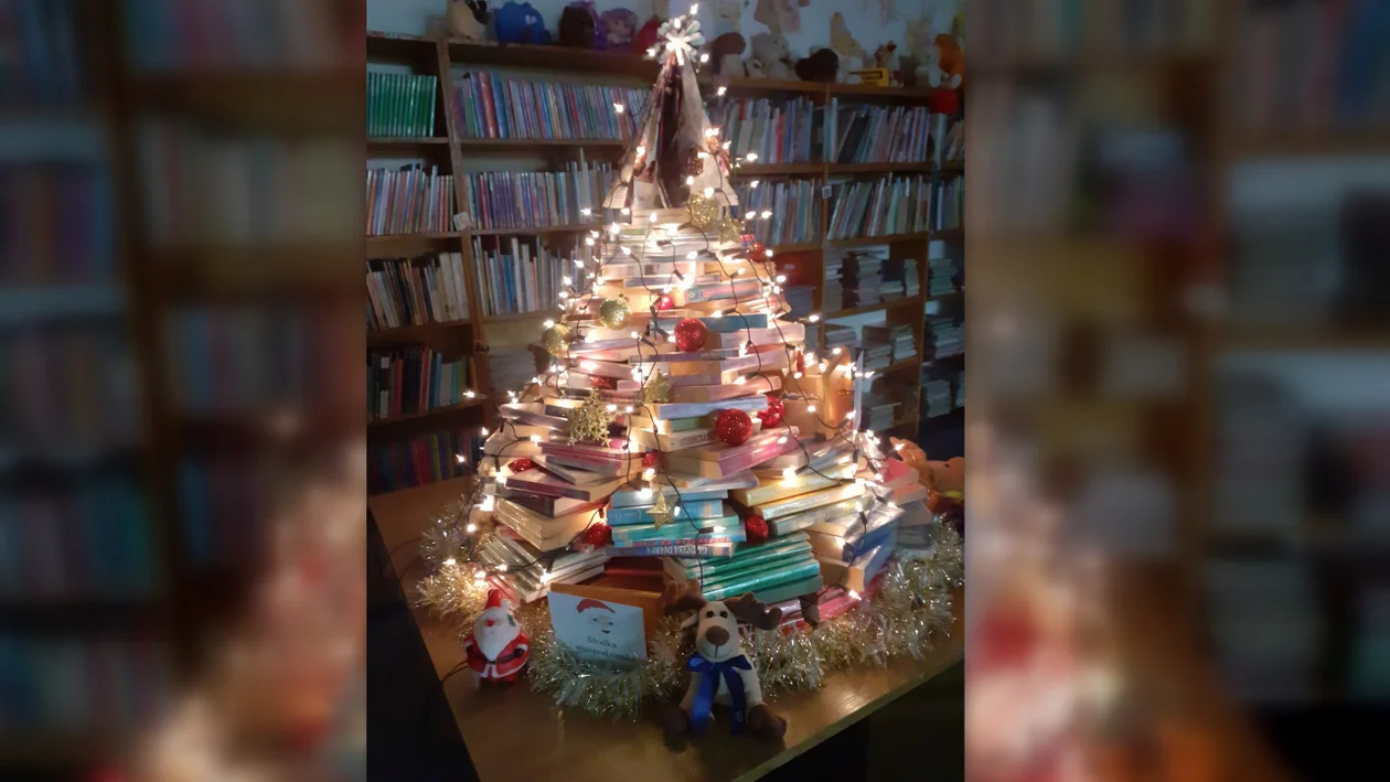 Ciekawa choinka w Chojnie. Można ją oglądać w lokalnej bibliotece - Zdjęcie główne