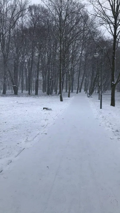 Pilne! Trudne warunki na wielkopolskich drogach