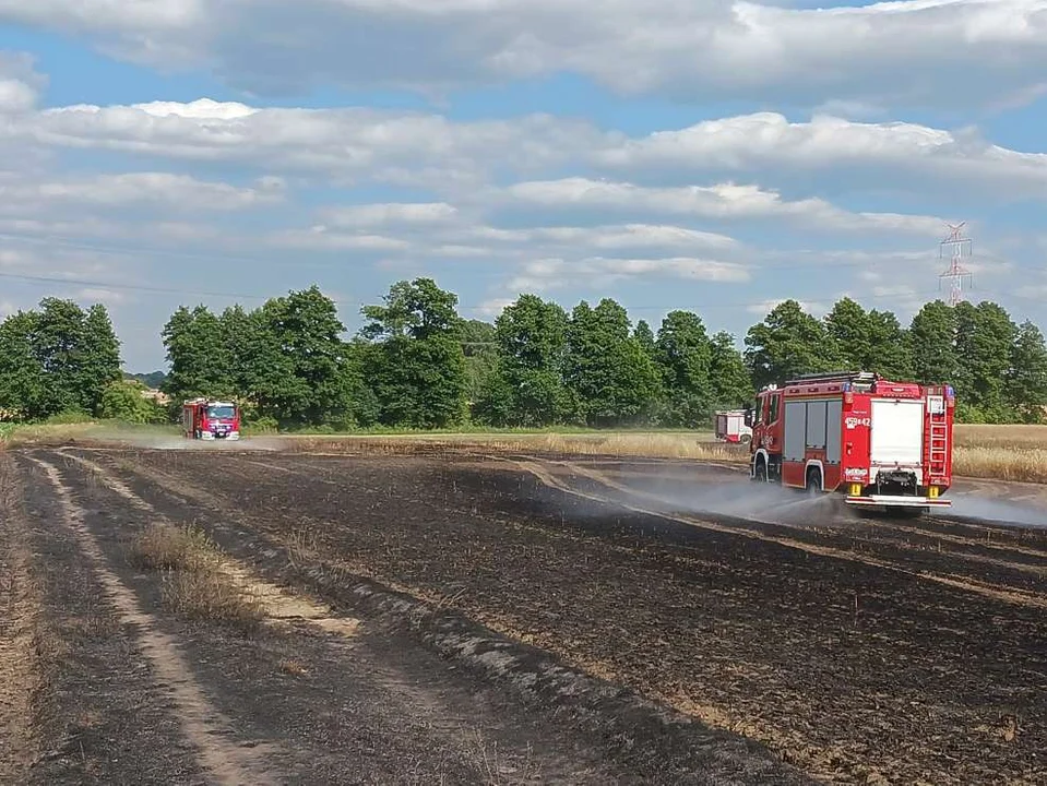 Pożar w Boguszynku w gminie Nowe Miasto