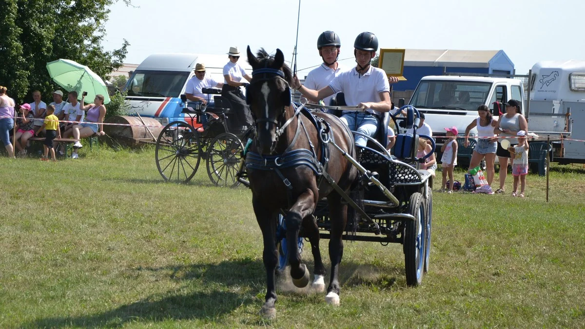 polecany artykuł