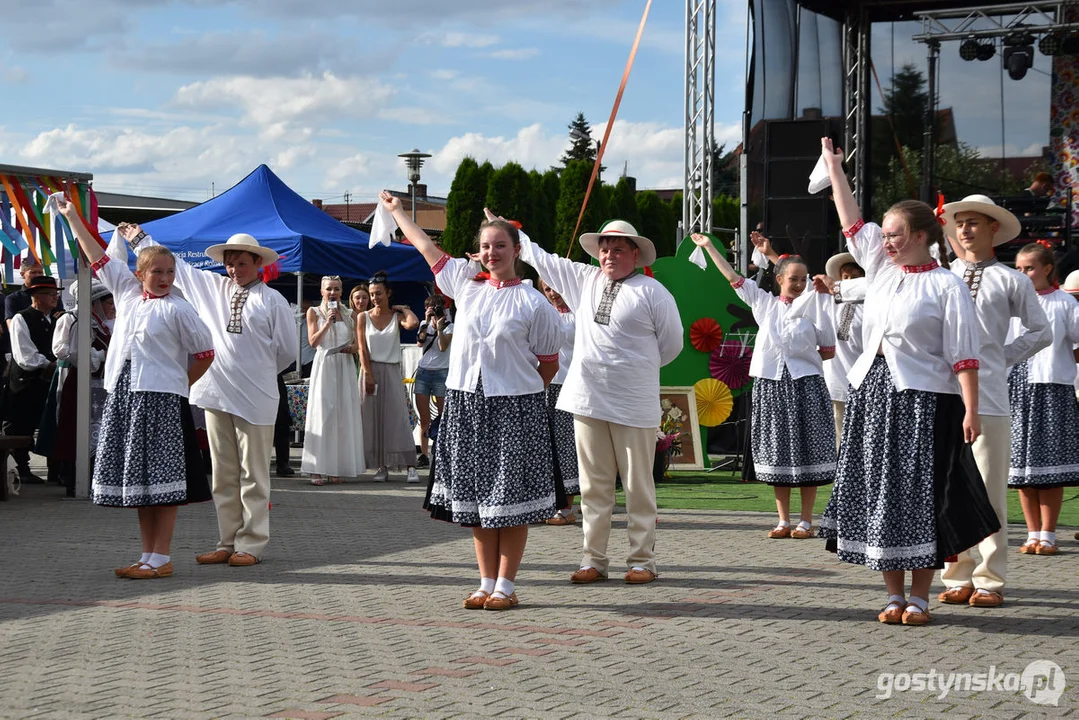 18. Prezentacje Zespołów Ludowych Wielkopolski w Borku Wlkp.