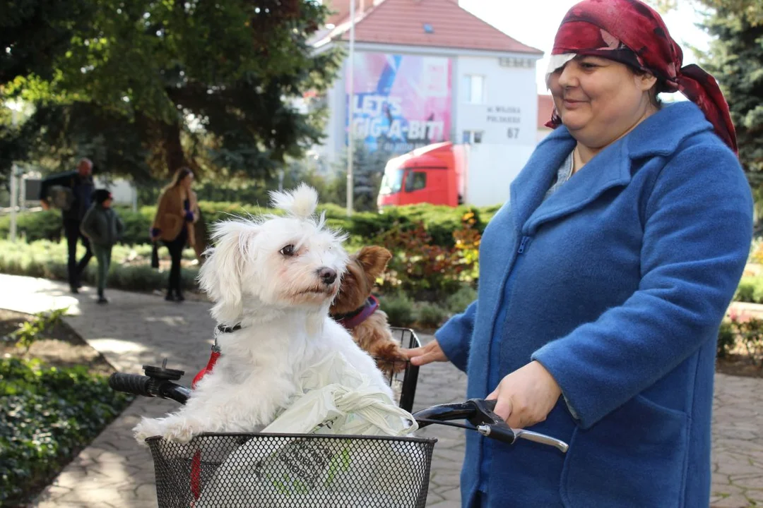 Franciszkanie w Jarocinie. Odpust św. Franciszka z Asyżu