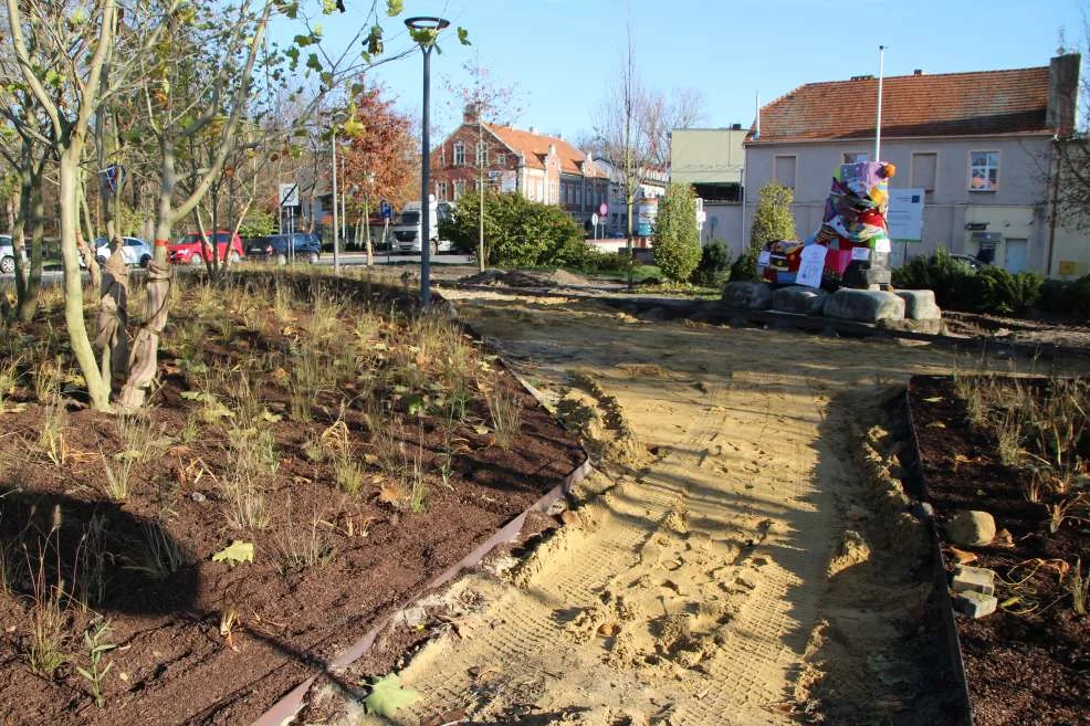 Nasadzenie zieleni w centrum Jarocina