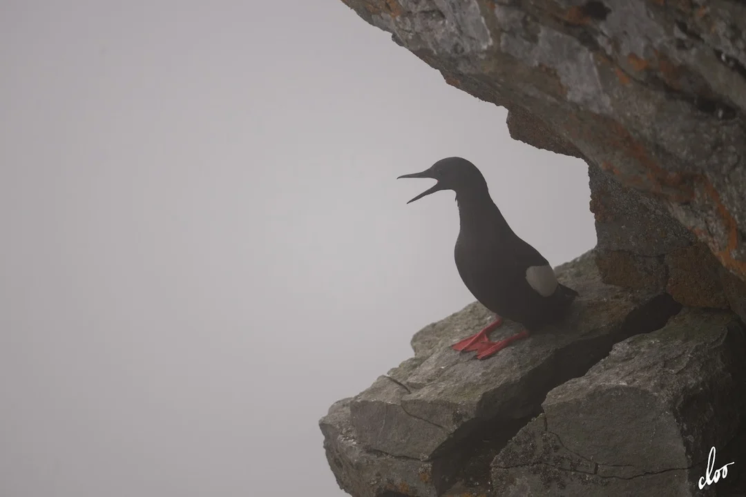 Wyprawa pleszewian na Spitsbergen