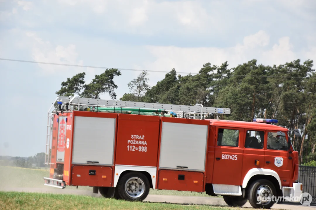 Pożar lasu na granicy powiatu gostyńskiego