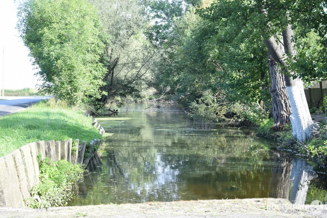 Rewitalizacja stawów w Pudliszkach, Ziemlinie, Posadowie i Chumiętkach