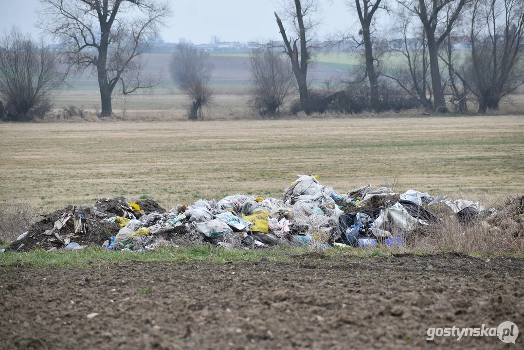 Ogromna hałda śmieci na polu w Żytowiecku